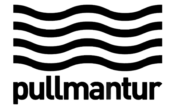 Demo Logo